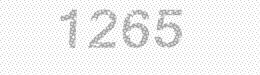 Visual security code — type the characters shown in the image